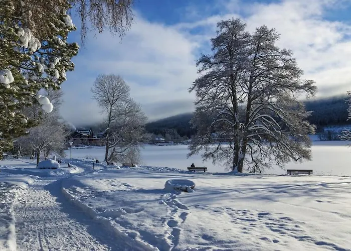 Waldtwin 2 Titisee