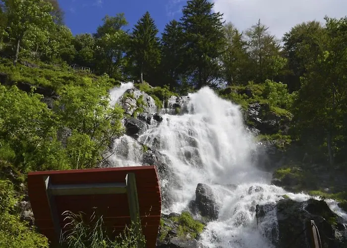 Waldtwin 2 Titisee