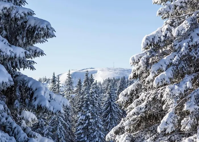 Waldtwin 2 Titisee
