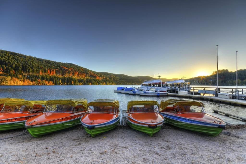 Waldtwin 2 Apartment Titisee-Neustadt